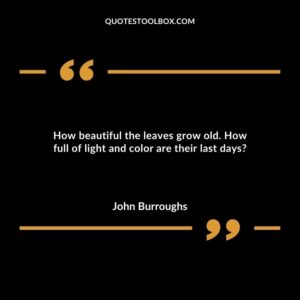 How beautiful the leaves grow old. How full of light and color are their last days