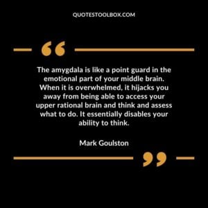 The amygdala is like a point guard in the emotional part of your middle brain. When it is overwhelmed it hijacks you away from being able to access your upper rational brain and think and