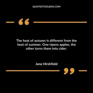 The heat of autumn is different from the heat of summer. One ripens apples the other turns them into cider