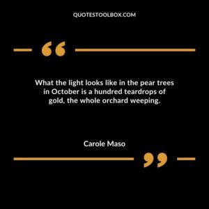 What the light looks like in the pear trees in October is a hundred teardrops of gold the whole orchard weeping