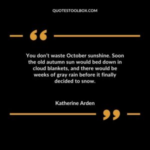You dont waste October sunshine. Soon the old autumn sun would bed down in cloud blankets and there would be weeks of gray rain before it finally decided to snow