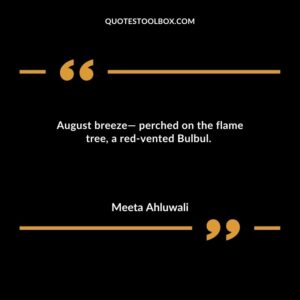 August breeze— perched on the flame tree, a red vented Bulbul