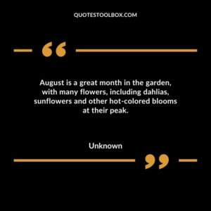 August is a great month in the garden, with many flowers, including dahlias, sunflowers and other hot colored blooms at their peak