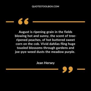 August is ripening grain in the fields blowing hot and sunny, the scent of tree ripened peaches, of hot buttered sweet corn on the cob. Vivid dahlias fling huge tousled blossoms through