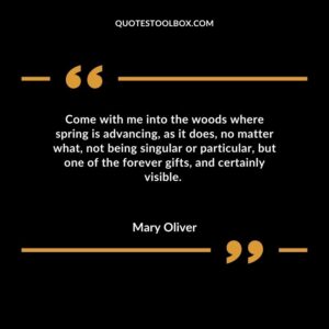 Come with me into the woods where spring is advancing, as it does, no matter what, not being singular or particular, but one of the forever gifts, and certainly visible
