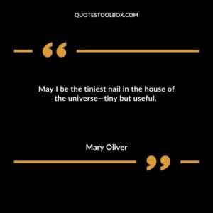 May I be the tiniest nail in the house of the universe—tiny but useful