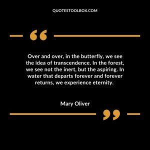 Over and over, in the butterfly, we see the idea of transcendence. In the forest, we see not the inert, but the aspiring. In water that departs forever and forever returns, we