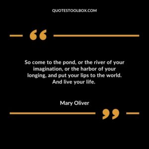 So come to the pond, or the river of your imagination, or the harbor of your longing, and put your lips to the world. And live your life