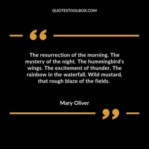 The resurrection of the morning. The mystery of the night. The hummingbird's wings. The excitement of thunder. The rainbow in the waterfall. Wild mustard, that rough blaze of the