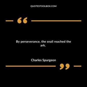 By perseverance, the snail reached the ark