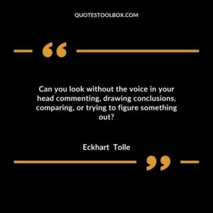 Can you look without the voice in your head commenting, drawing conclusions, comparing, or trying to figure something out