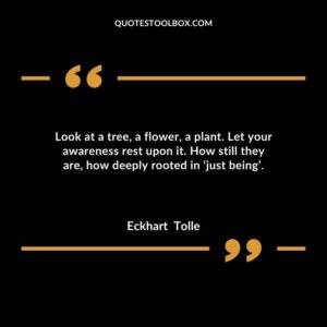 Look at a tree, a flower, a plant. Let your awareness rest upon it. How still they are, how deeply rooted in ‘just being’
