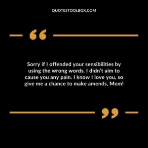 Sorry if I offended your sensibilities by using the wrong words. I didn’t aim to cause you any pain. I know I love you, so give me a chance to make amends, Mom