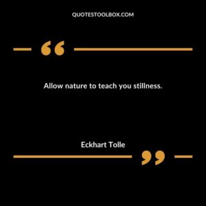 Allow nature to teach you stillness.