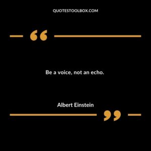 Be a voice not an echo.