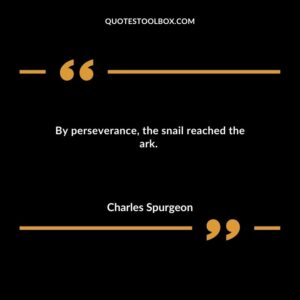 By perseverance the snail reached the ark.