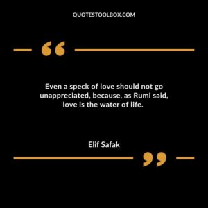 Even a speck of love should not go unappreciated because as Rumi said love is the water of life.