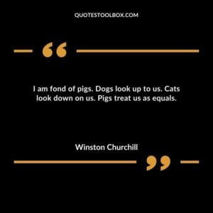 I am fond of pigs. Dogs look up to us. Cats look down on us. Pigs treat us as equals.