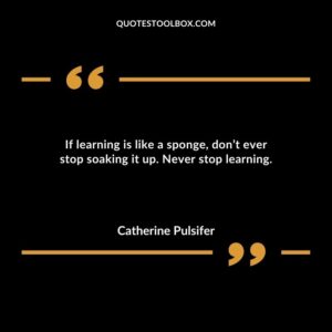 If learning is like a sponge dont ever stop soaking it up. Never stop learning.