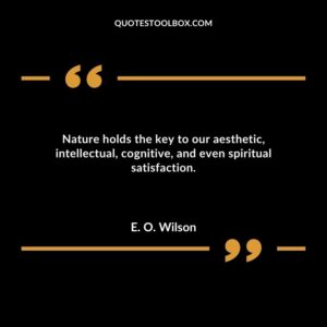 Nature holds the key to our aesthetic intellectual cognitive and even spiritual satisfaction.