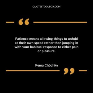 Patience means allowing things to unfold at their own speed rather than jumping in with your habitual response to either pain or pleasure.