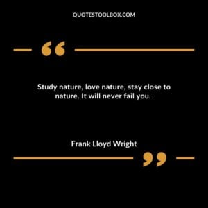 Study nature love nature stay close to nature. It will never fail you.
