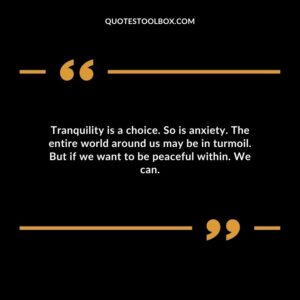 Tranquility is a choice. So is anxiety. The entire world around us may be in turmoil. But if we want to be peaceful within. We can.