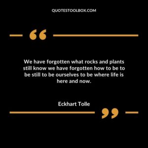 We have forgotten what rocks and plants still know we have forgotten how to be to be still to be ourselves to be where life is here and now.