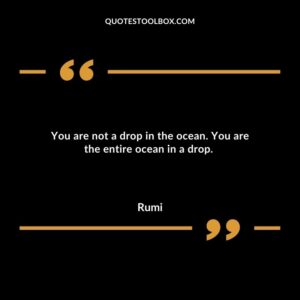 You are not a drop in the ocean. You are the entire ocean in a drop.