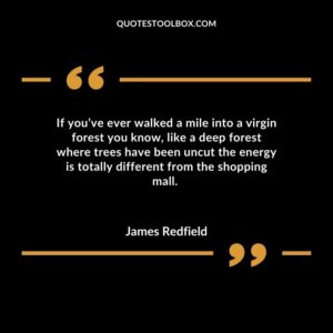If youve ever walked a mile into a virgin forest you know like a deep forest where trees have been uncut the energy is totally different from the shopping mall.