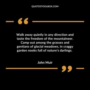 Walk away quietly in any direction and taste the freedom of the mountaineer. Camp out among the grasses and gentians of glacial meadows in craggy garden nooks full of natures darlings.