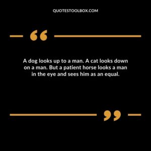 A dog looks up to a man. A cat looks down on a man. But a patient horse looks a man in the eye and sees him as an equal.