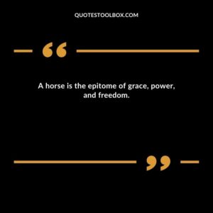 A horse is the epitome of grace, power, and freedom.