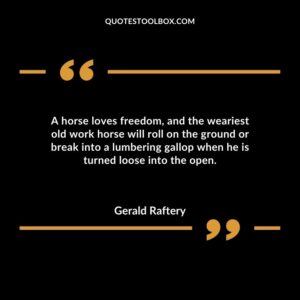 A horse loves freedom, and the weariest old work horse will roll on the ground or break into a lumbering gallop when he is turned loose into the open.