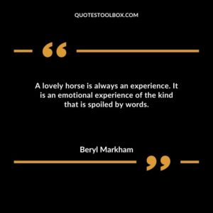 A lovely horse is always an experience. It is an emotional experience of the kind that is spoiled by words.