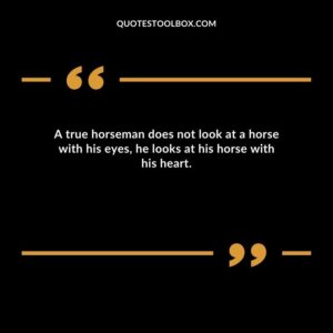 A true horseman does not look at a horse with his eyes, he looks at his horse with his heart.