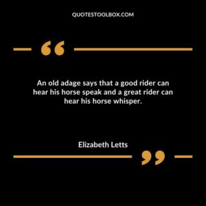 An old adage says that a good rider can hear his horse speak and a great rider can hear his horse whisper.