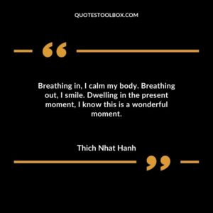 Breathing in I calm my body. Breathing out I smile. Dwelling in the present moment I know this is a wonderful moment.
