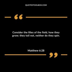 Consider the lilies of the field, how they grow; they toil not, neither do they spin.