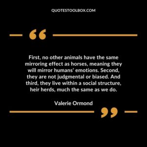 First, no other animals have the same mirroring effect as horses, meaning they will mirror humans’ emotions. Second, they are not judgmental or biased.