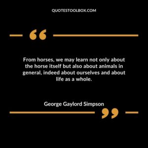 From horses, we may learn not only about the horse itself but also about animals in general, indeed about ourselves and about life as a whole.
