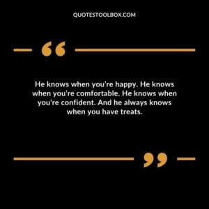 He knows when you’re happy. He knows when you’re comfortable. He knows when you’re confident. And he always knows when you have treats.