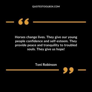 Horses change lives. They give our young people confidence and self esteem. They provide peace and tranquility to troubled souls. They give us hope!