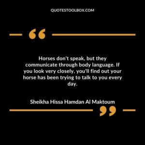 Horses don’t speak, but they communicate through body language. If you look very closely, you’ll find out your horse has been trying to talk to you every day.
