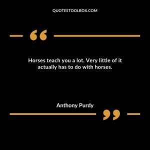 Horses teach you a lot. Very little of it actually has to do with horses.
