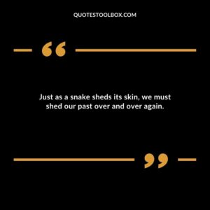 Just as a snake sheds its skin we must shed our past over and over again.