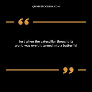 Just when the caterpillar thought its world was over, it turned into a butterfly!