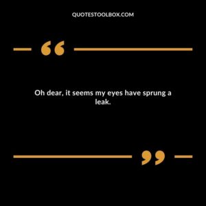 Oh dear, it seems my eyes have sprung a leak.