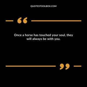 Once a horse has touched your soul, they will always be with you.