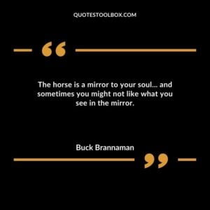 The horse is a mirror to your soul... and sometimes you might not like what you see in the mirror.
